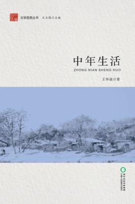 文学固原丛书  中年生活 封面