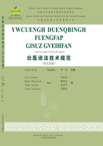 壮医诊法技术规范  壮汉双语 封面