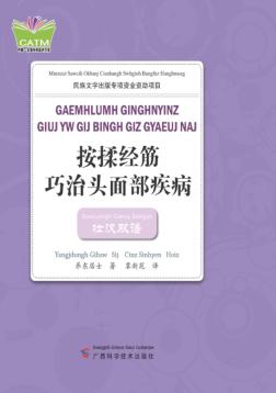 按揉经筋巧治头面部疾病  壮汉双语 封面