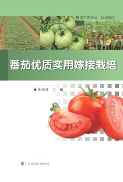 番茄优质实用嫁接栽培 封面
