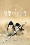 守望家园的小鸟 封面