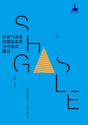页岩气发展的国际实践与中国式路径 封面