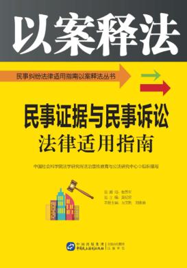 民事证据与民事诉讼法律适用指南 封面