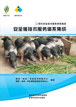 安全猪技术服务体系集成 封面