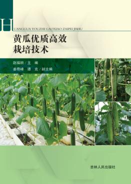 黄瓜优质高效栽培技术