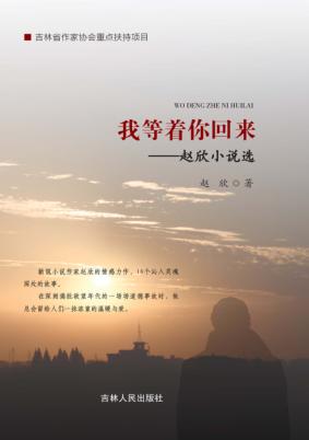 我等着你回来  赵欣小说选 封面