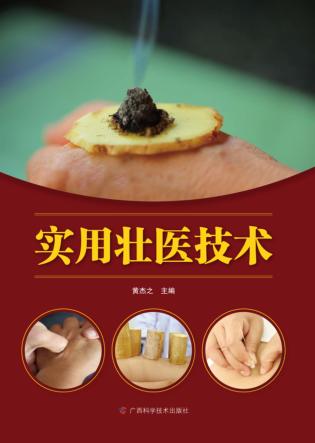 实用壮医技术 封面
