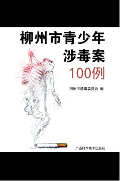 柳州市青少年涉毒案100例 封面