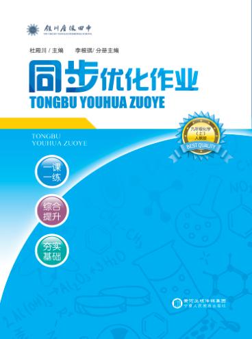 同步优化作业  九年级  化学  上  人教版 封面