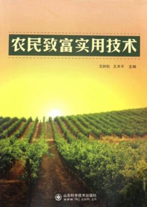 农民致富实用技术 封面