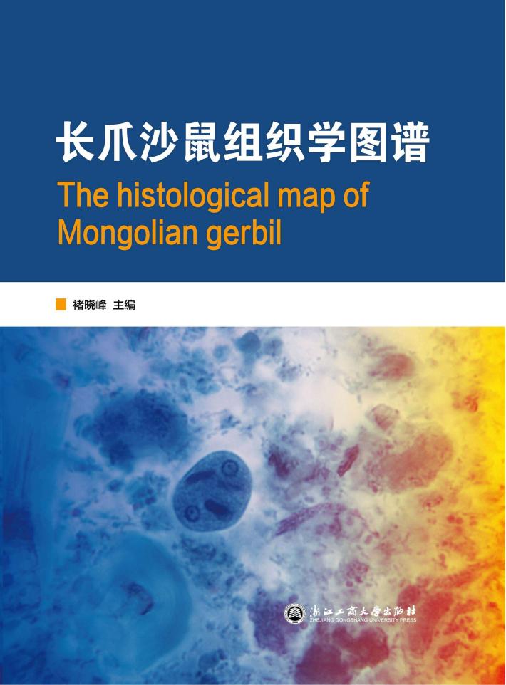 长爪沙鼠组织学图谱 封面