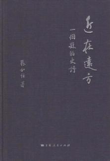 近在远方  一个县的史诗 封面
