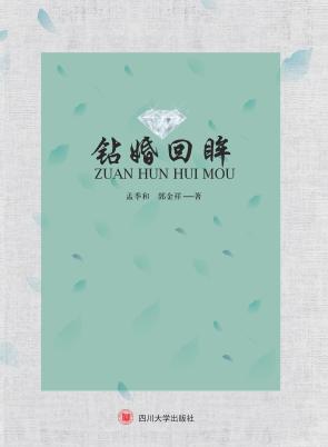 钻婚回眸 封面