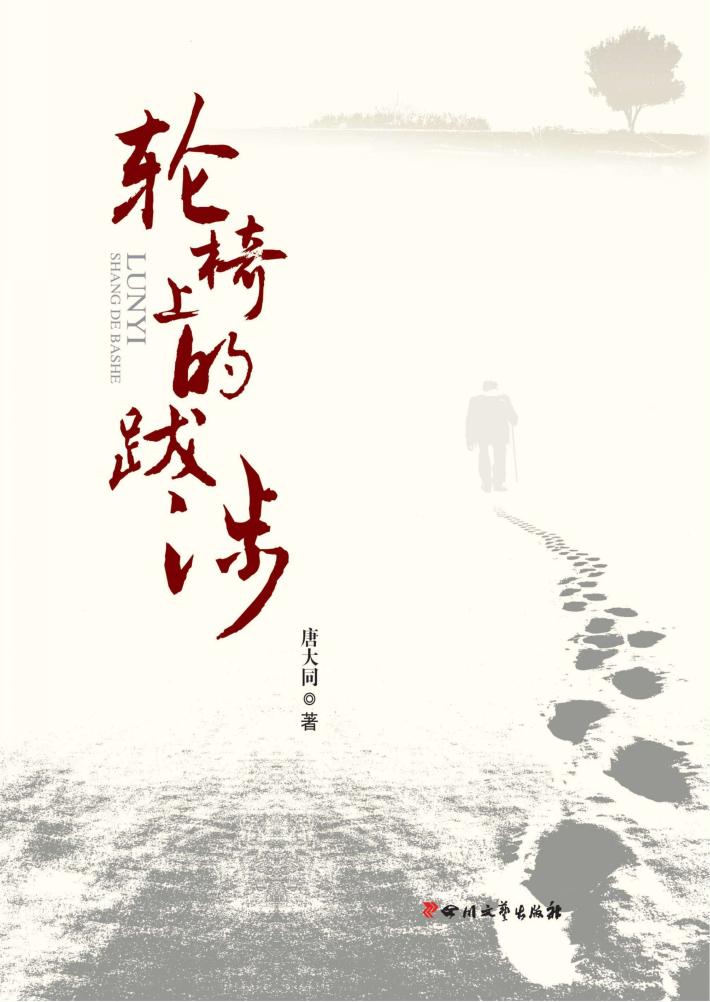 轮椅上的跋涉 封面