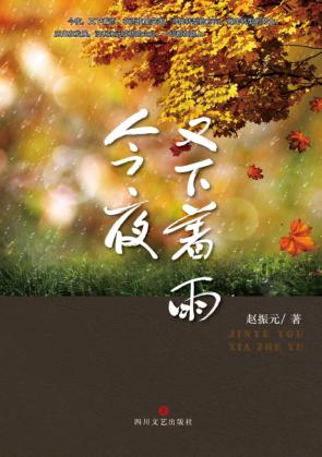 今夜又下着雨 封面