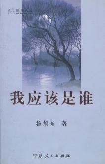 我应该是谁 封面