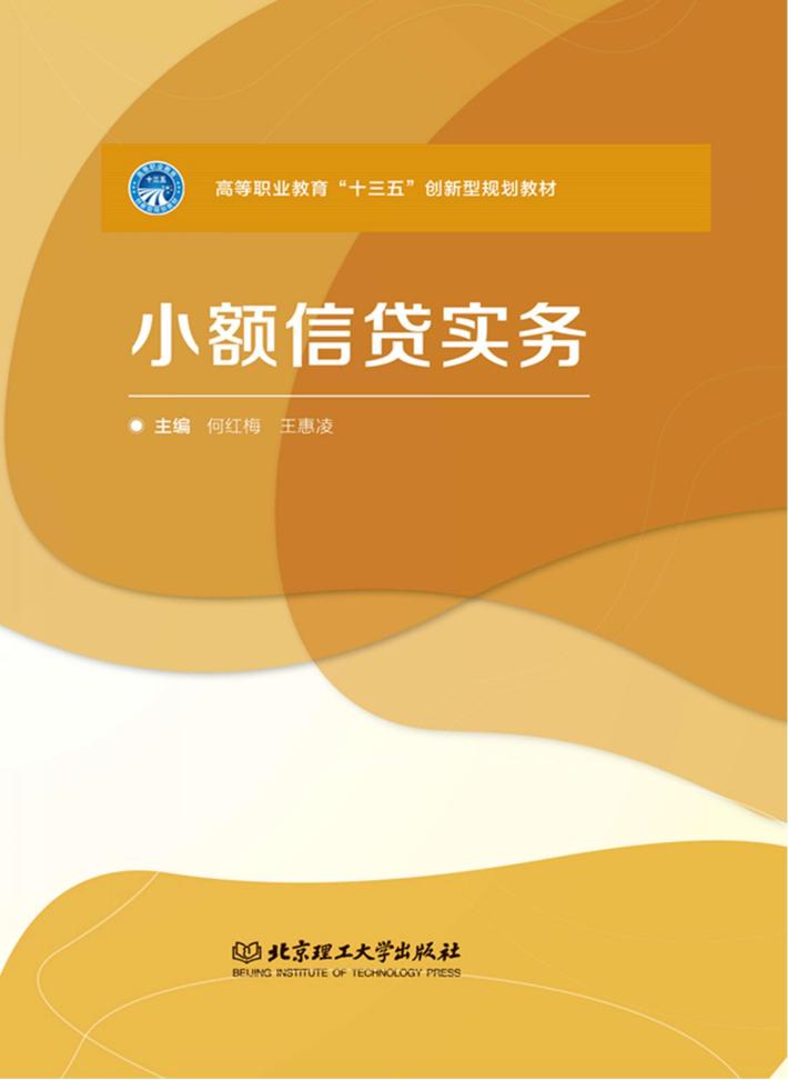 小额信贷实务 封面