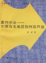 面向中亚-中国西北地区的向西开放 封面