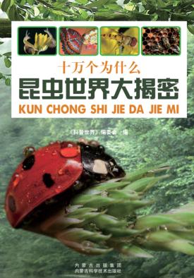 昆虫世界大揭秘 封面