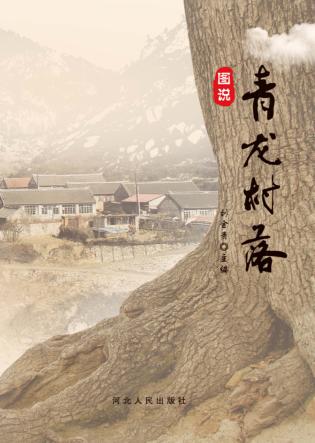 图说青龙村落 封面