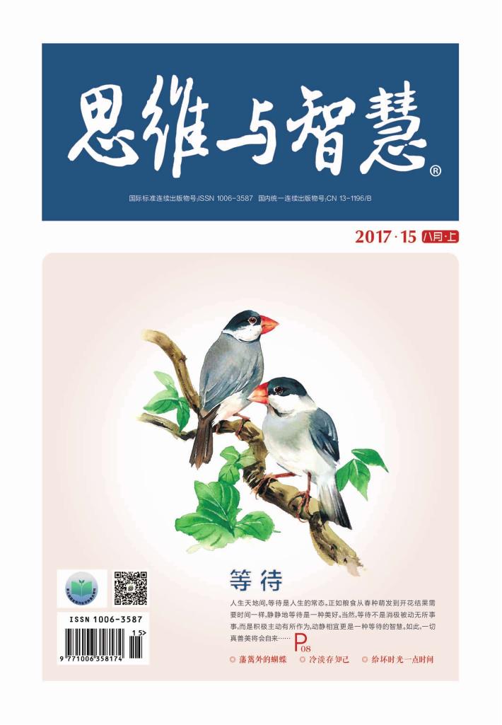 思维与智慧（2017.15u3000总第385期） 封面