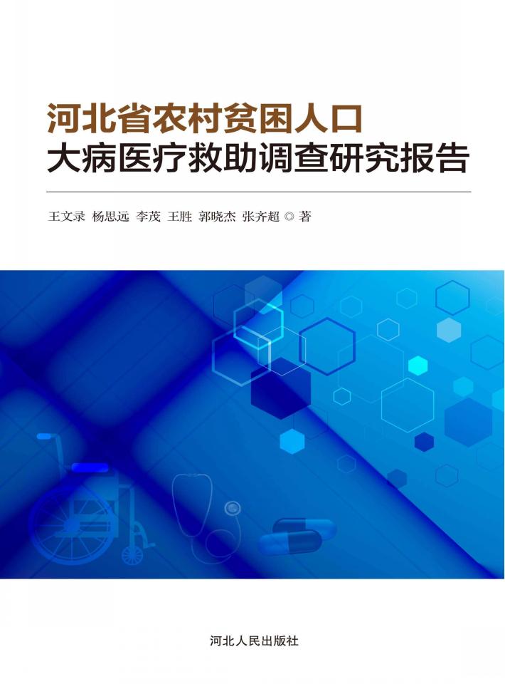 河北省农村贫困人口大病医疗救助调查研究报告 封面