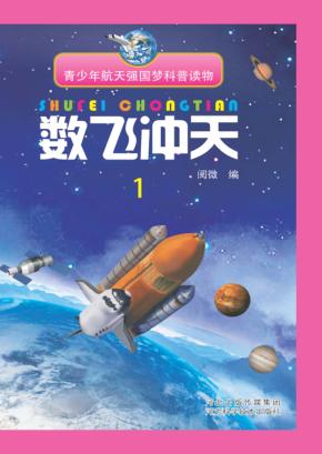 数飞冲天  1 封面