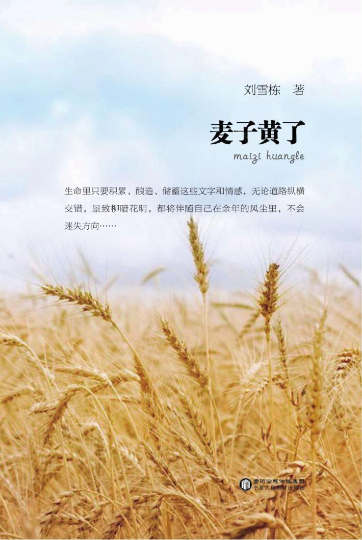 麦子黄了 封面