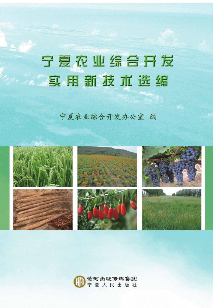 宁夏农业综合开发实用新技术选编 封面