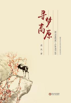 寻梦高原 封面