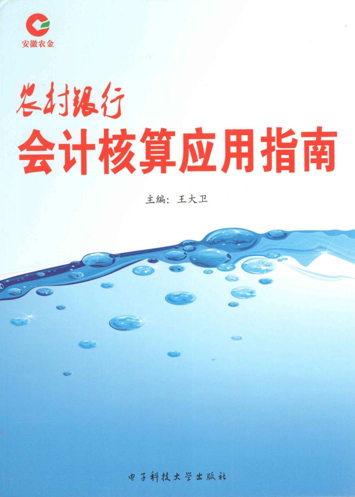 农村银行会计核算应用指南 封面