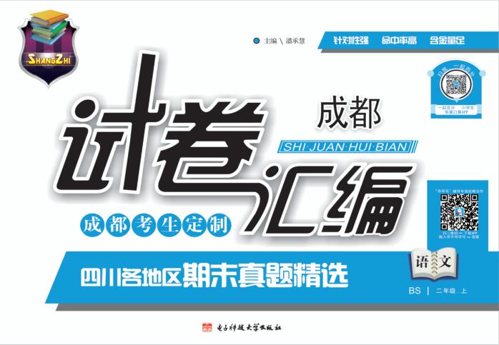 试卷汇编  语文  二年级  上 封面