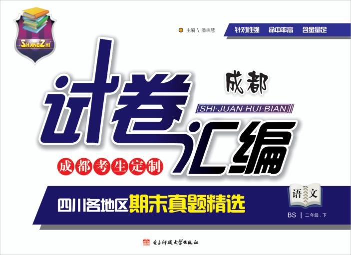 试卷汇编  语文  二年级  下 封面