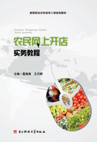 农民网上开店实务教程 封面