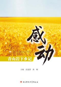 感动  青山岩下乡记 封面