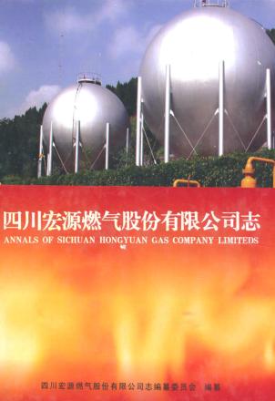 四川宏源燃气股份有限公司志 封面