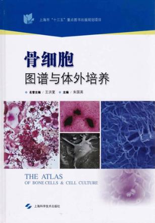 骨细胞图谱与体外培养 封面