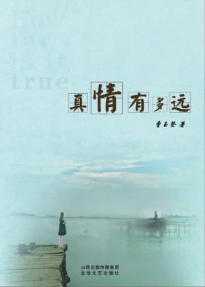 真情有多远 封面