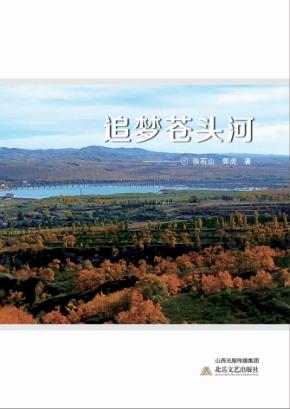 追梦苍头河 封面