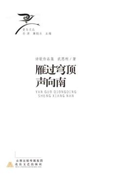 雁过穹顶声向南 封面