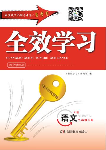 全效学习·同步学练测  语文  九年级  下  RJ版 电子书封面