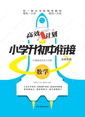 高效A计划·小学升初中衔接  数学 封面