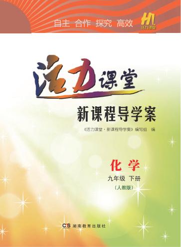 活力课堂·新课程导学案  化学  九年级  下  人教版 封面