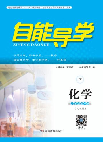 自能导学·化学  九年级全一册  人教版  下 封面