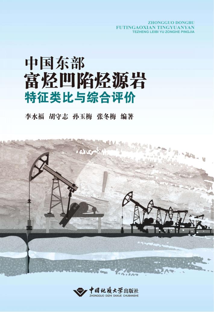 中国东部富烃凹陷烃源岩特征类比与综合评价 封面