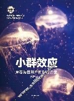 小群效应  席卷海量用户的隐性力量 封面