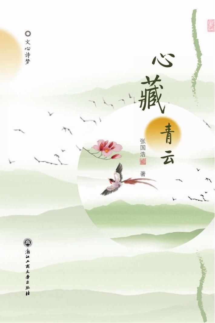 心藏青云 封面