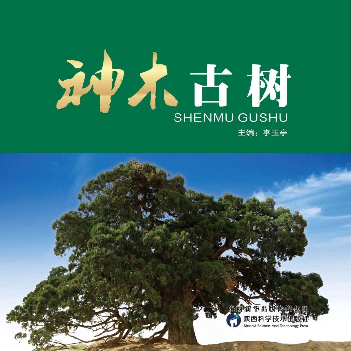 神木古树 封面
