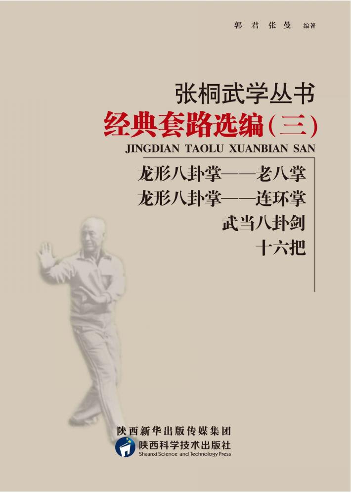 张桐武学丛书  经典套路选编  3 封面