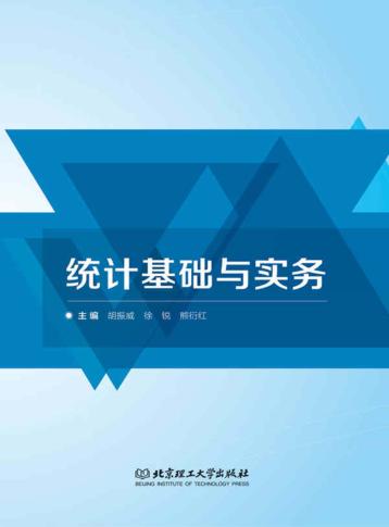 统计基础与实务 封面